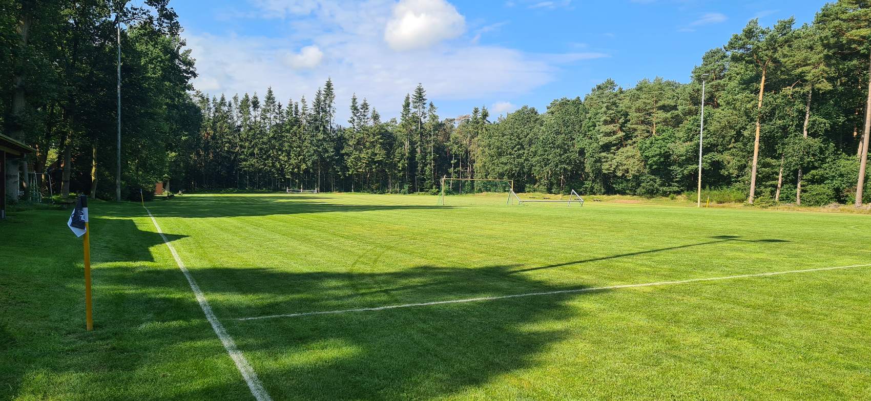 Weiter Blick über den Sportplatz, am linken Rand eine Eckfahne, dahinter Wald