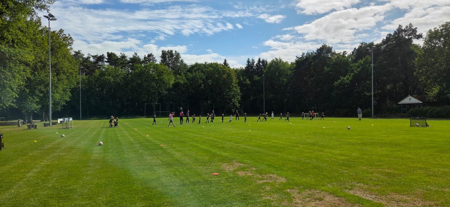 Kindertraining auf dem Sportplatz in Westervesede